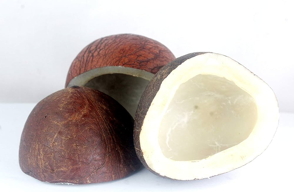 7. Coconut- Kopra.jpg